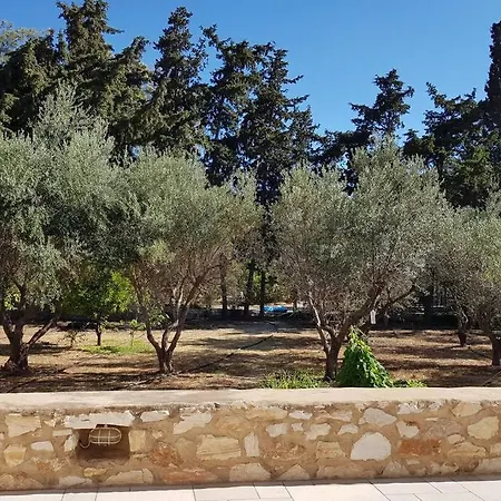 Kaniaris * Parikia (Paros)